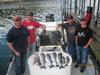 (04/15/2017) - Nice Striped Bass